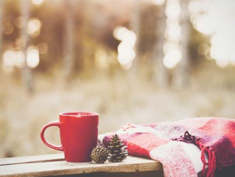 Red cup, red blanket and pine cones on a wooden deck rail