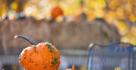 Orange gourd on patio table surrounded by fall leaves