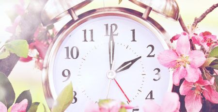 Alarm clock sitting in the branches of a flowering tree