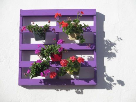 Purple trellis with potted flowers