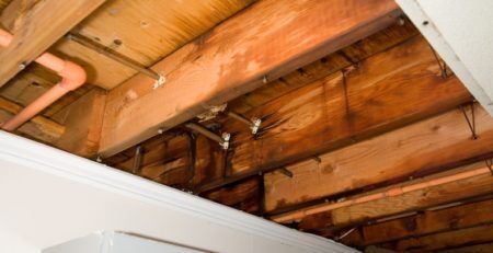 Photo showing water damage under wooden deck