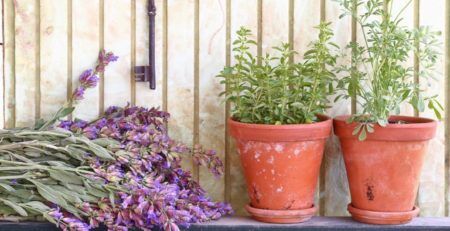 2 potted Plants on a ledge with cut flowers