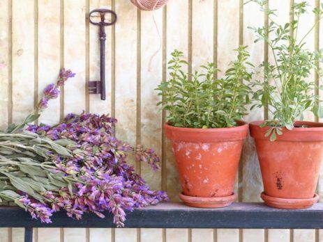 2 potted Plants on a ledge with cut flowers